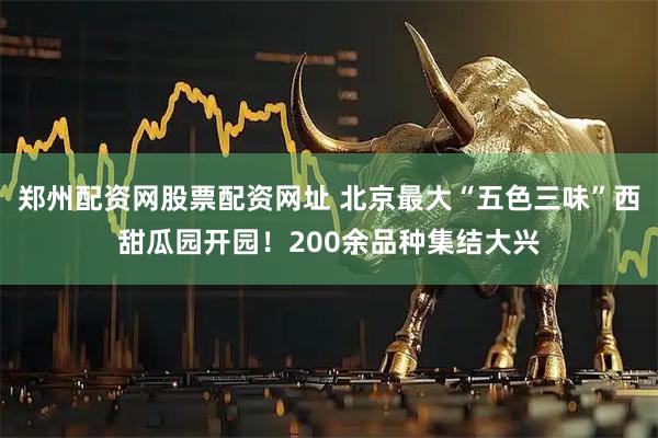 郑州配资网股票配资网址 北京最大“五色三味”西甜瓜园开园！200余品种集结大兴